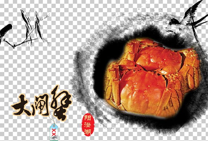 Yangcheng Lake Large Crab Yangcheng Lake Large Crab Chinese Mitten Crab PNG, Clipart, Animals, Art, Cartoon Crab, Chinese Mitten Crab, Crab Free PNG Download