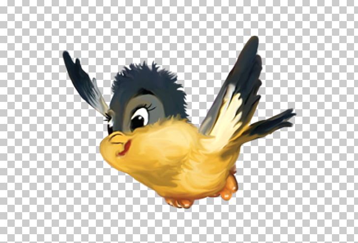 Bird PNG, Clipart, Animal, Animals, Beak, Bird, Bird Control Spike Free PNG Download