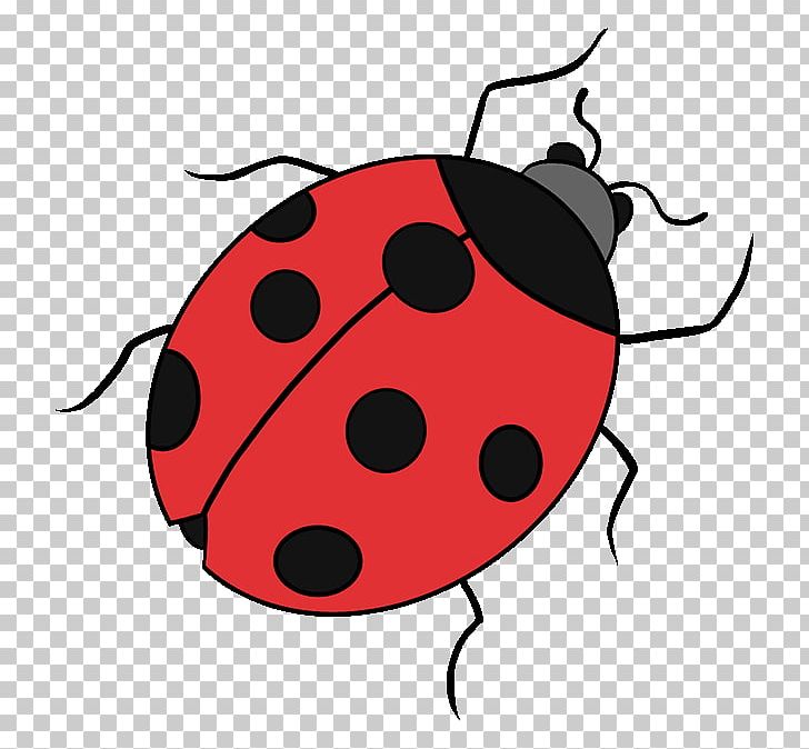 Drawing Ladybird Beetle Tutorial PNG, Clipart, Art, Artwork, Beetle, Bug, Cartoon Free PNG Download