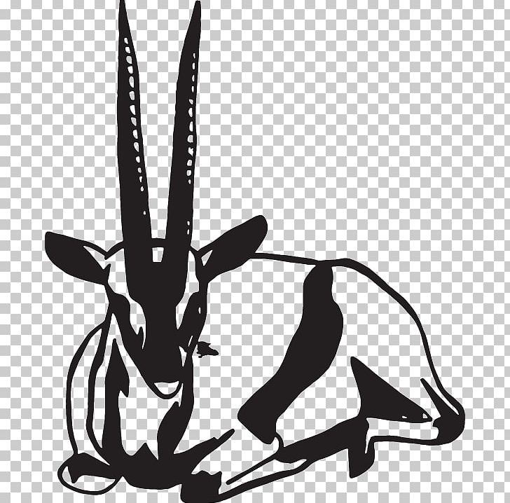 Hare Macropods Mammal Canidae PNG, Clipart, Animals, Antelope, Black And White, Buck, Canidae Free PNG Download