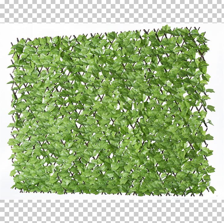 Herb Shrub Groundcover Lawn PNG, Clipart, Grass, Groundcover, Herb, Lawn, Others Free PNG Download