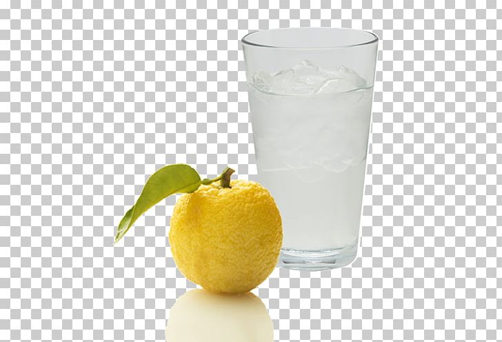 Lemon Juice Limeade Fermentation Starter Vodka Tonic Lemonade PNG, Clipart, Amazake, Citric Acid, Cocktail Garnish, Drink, Fermentation Starter Free PNG Download