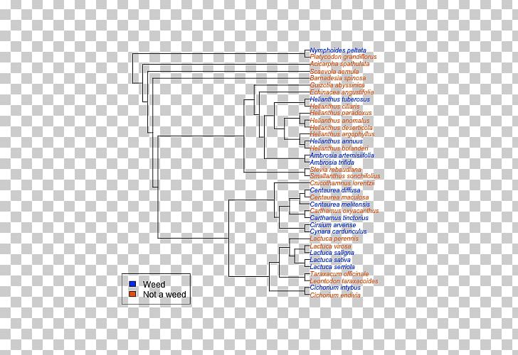 Line Angle Diagram PNG, Clipart, Advisory Label, Angle, Area, Art, Diagram Free PNG Download