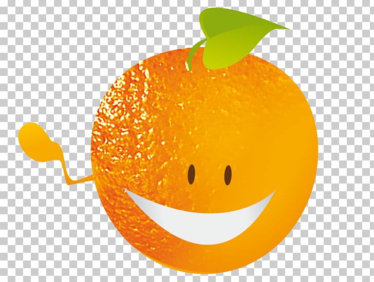 Mandarin Orange Desktop Diet Food Smiley PNG, Clipart, Apple, Citrus, Computer, Computer Wallpaper, Desktop Wallpaper Free PNG Download