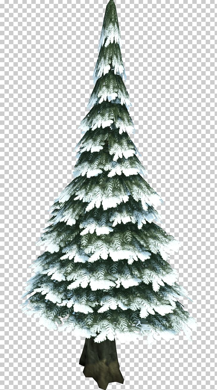 Pine Tree Evergreen Fir PNG, Clipart, Christmas, Christmas Decoration, Christmas Ornament, Christmas Tree, Conifer Free PNG Download