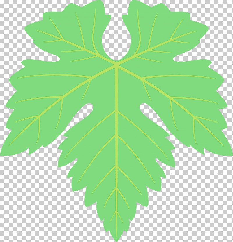 Maple Leaf PNG, Clipart, Black Maple, Flower, Grape Leaves, Grapes Leaf, Green Free PNG Download