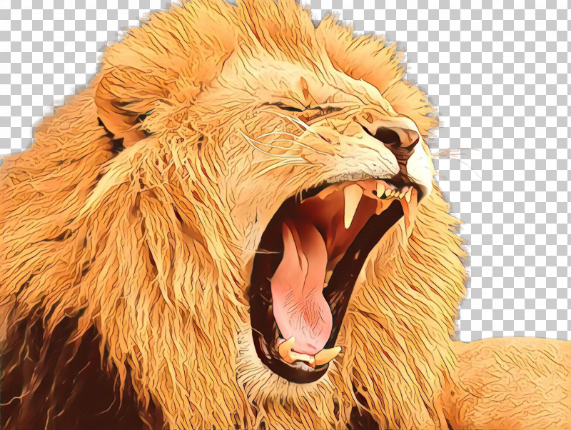Roar Lion Masai Lion Facial Expression Wildlife PNG, Clipart, Adaptation, Facial Expression, Fang, Fur, Lion Free PNG Download