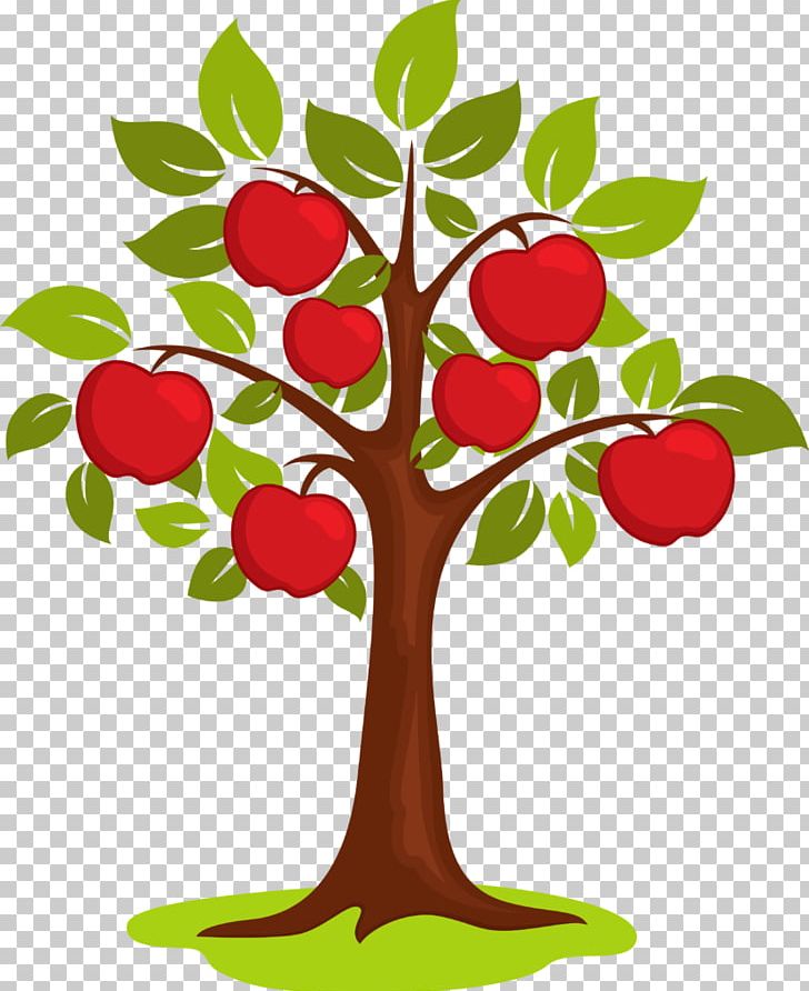 Apple Portable Network Graphics Graphics Free Content PNG, Clipart, Apple, Apple Cider, Branch, Cartoon, Flower Free PNG Download