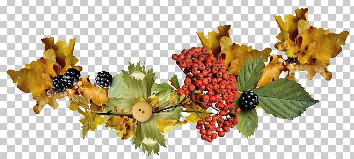 Composition PNG, Clipart, Autumn, Branch, Color, Composition, Diary Free PNG Download