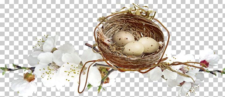 Nest Egg PNG, Clipart, Animals, Christmas Decoration, Decor, Decoration, Decorations Free PNG Download