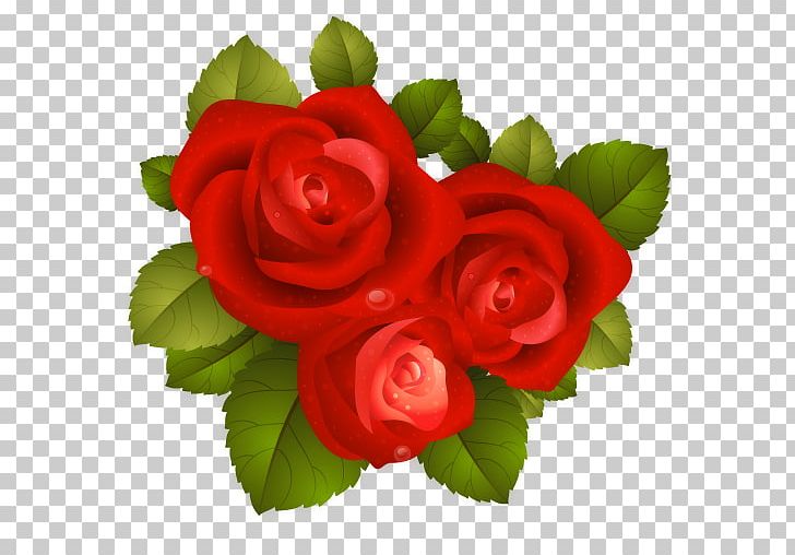 Rose PNG, Clipart, Rose Free PNG Download