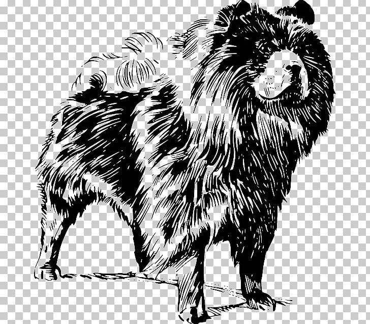 Chow Chow Puppy Golden Retriever Cairn Terrier Dog Breed PNG, Clipart, Animals, Big Cats, Black And White, Breed, Carnivoran Free PNG Download