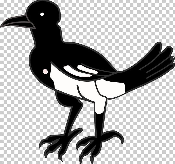 Beak Eurasian Magpie Flightless Bird PNG, Clipart, Animals, Beak, Bird, Black And White, Clip Art Free PNG Download