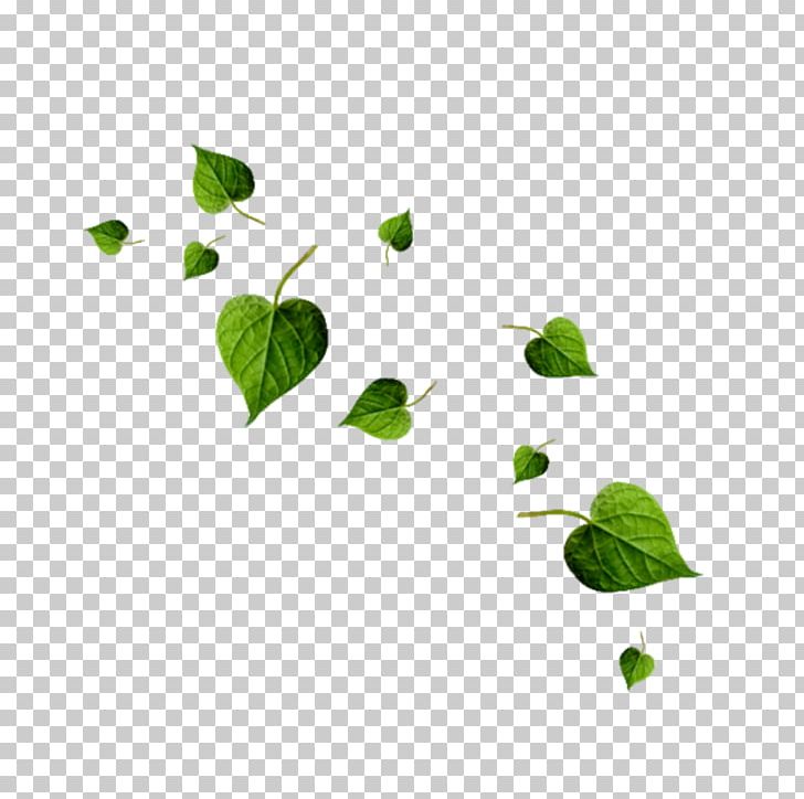 Leaf Heart PNG, Clipart, Branch, Clip Art, Download, Feuille, Green Free PNG Download