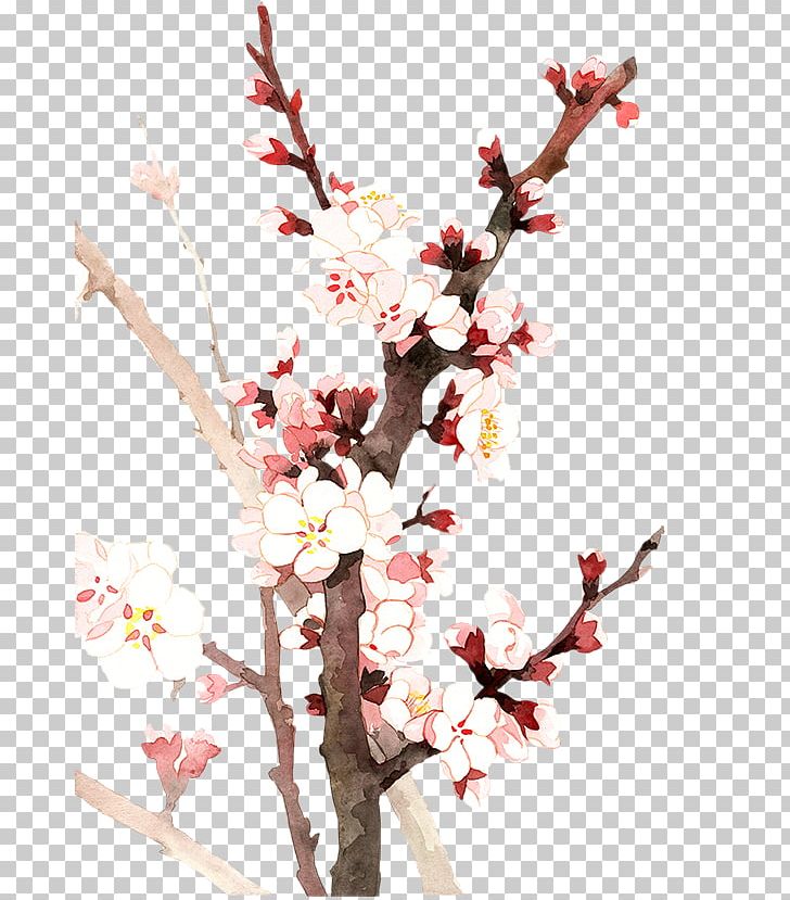 Yushui Cherry Blossom Flower PNG, Clipart, Apricot, Blossom, Branch, Creative Work, Decoration Free PNG Download