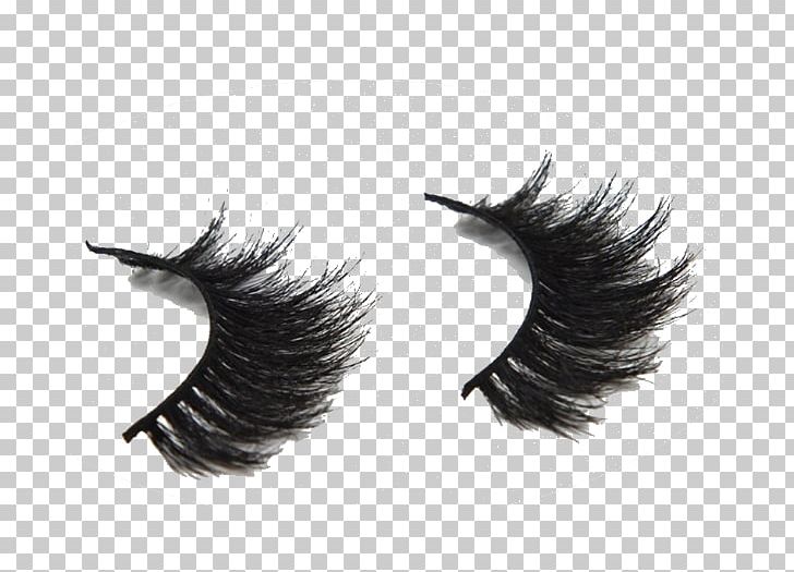 Eyelash Extensions Horse Cosmetics Fur PNG, Clipart, 3d Computer Graphics, Black, Black And White, Black M, Cosmetics Free PNG Download
