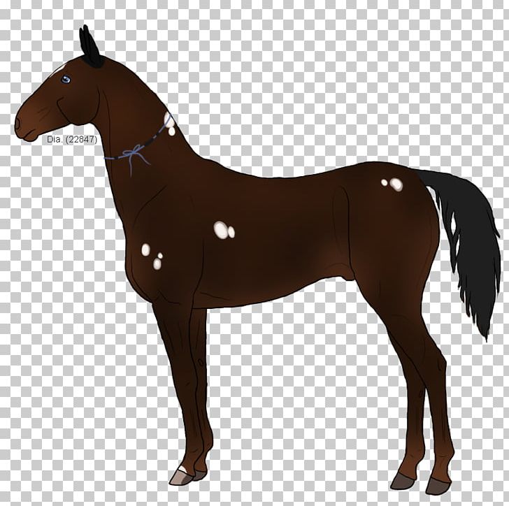 Mustang Foal Howrse Stallion Mare PNG, Clipart, Akhalteke, Animal Figure, Bridle, Colt, Daphnis Free PNG Download
