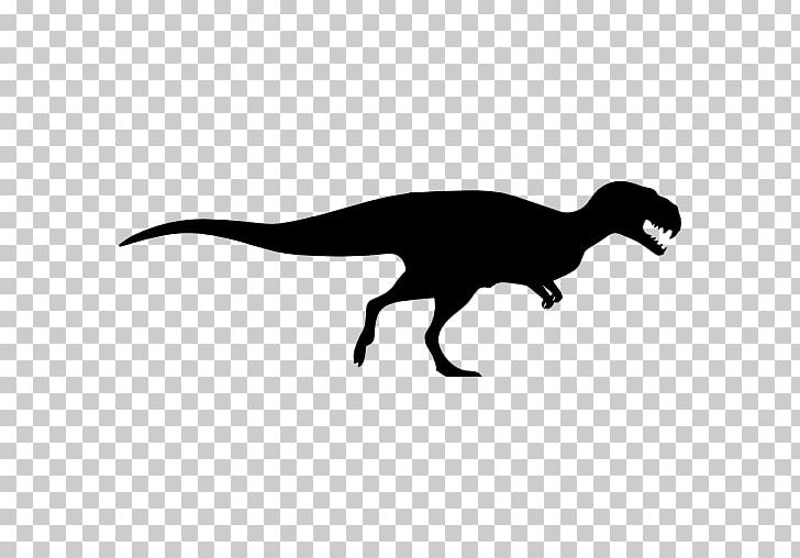 Tyrannosaurus Gorgosaurus Gigantoraptor Dinosaur Velociraptor PNG, Clipart, Animal, Beak, Black And White, Brachiosaurus, Computer Icons Free PNG Download