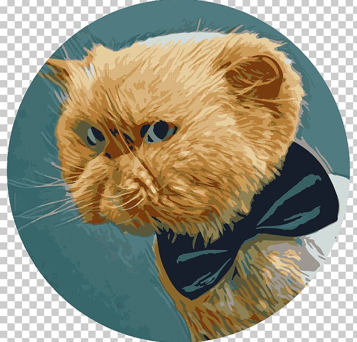 Whiskers Trekhgorka Odintsovo Persian Cat Dog PNG, Clipart, Animals, Carnivoran, Cat, Cat Like Mammal, Dog Free PNG Download