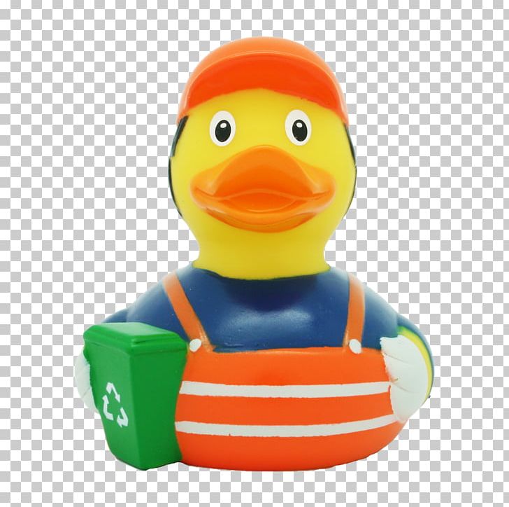 Domestic Duck Rubber Duck Toy Natural Rubber PNG, Clipart, Anatini, Animals, Bathtub, Beak, Bird Free PNG Download