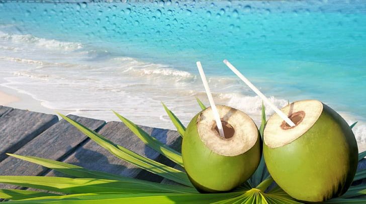 Fizzy Drinks Coconut Water Juice PNG, Clipart, Coconut, Coconut Water, Computer Wallpaper, Drink, Drinking Free PNG Download