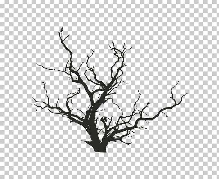 Tree Lindenfeld YouTube Spotify PNG, Clipart, Black And White, Branch, Child, Death, Flora Free PNG Download