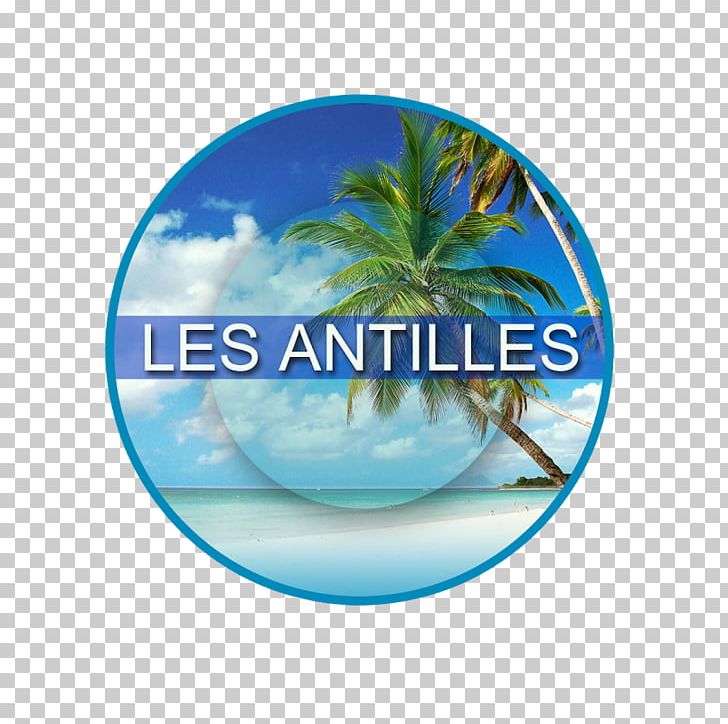 Antilles Collectivity Of Saint Martin Martinique Marie-Galante Saint Barthélemy PNG, Clipart, Antilles, Aqua, Caribbean, Collectivity Of Saint Martin, Computer Wallpaper Free PNG Download