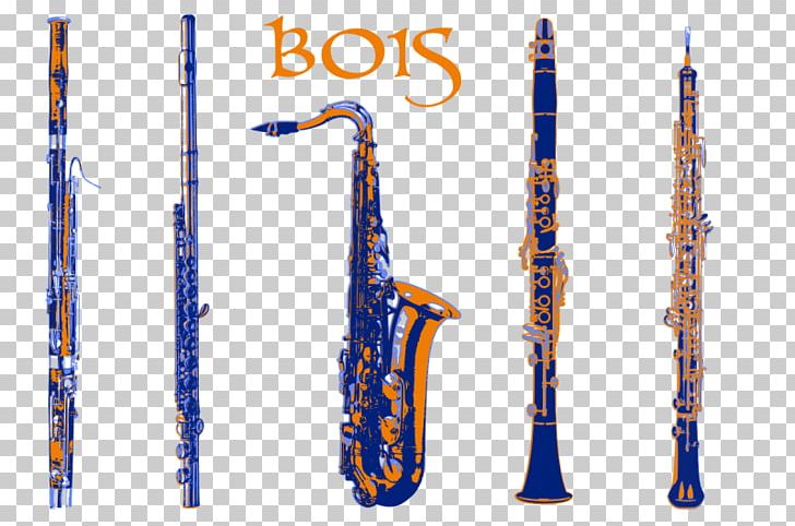 Clarinet Woodwind Instrument Musical Instruments Piccolo PNG, Clipart, Bassoon, Brass Instruments, Clarinet, Clarinet Family, Flageolet Free PNG Download