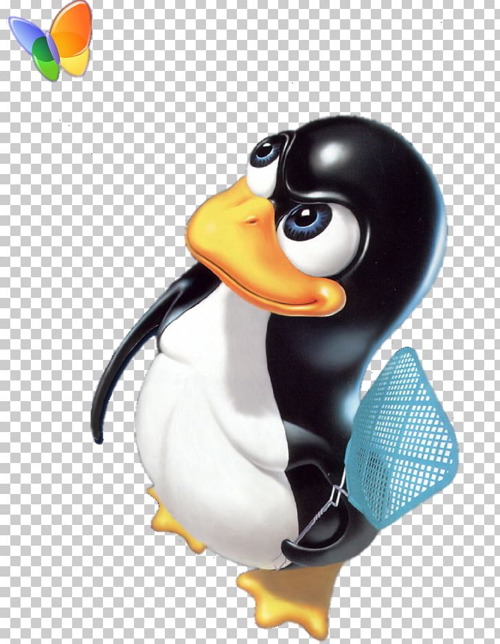 Linux Kernel Debian History Of Linux PNG, Clipart, Beak, Bird, Computer Software, Debian, Ducks Geese And Swans Free PNG Download