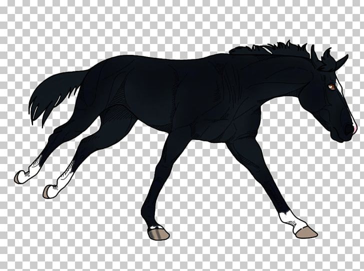 Mustang Foal Pony Stallion Mare PNG, Clipart, 9 August, 2048 Link, Animal Figure, Background, Bridle Free PNG Download