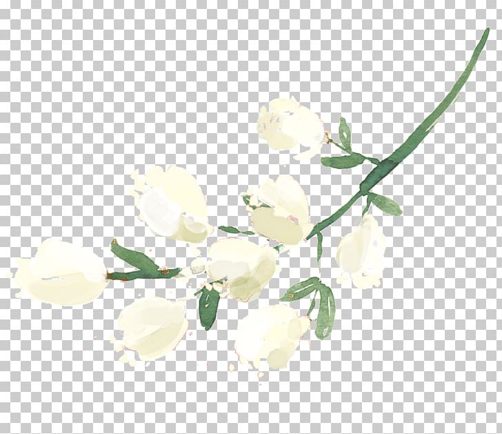 Petal Twig Flowering Plant Plant Stem PNG, Clipart, Blossom, Branch, Flower, Flowering Plant, Others Free PNG Download