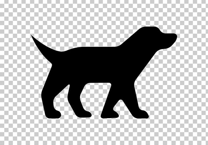 Puppy Dachshund Kerry Blue Terrier Poodle Labrador Retriever PNG, Clipart, Animal, Animals, Black, Black And White, Carnivoran Free PNG Download