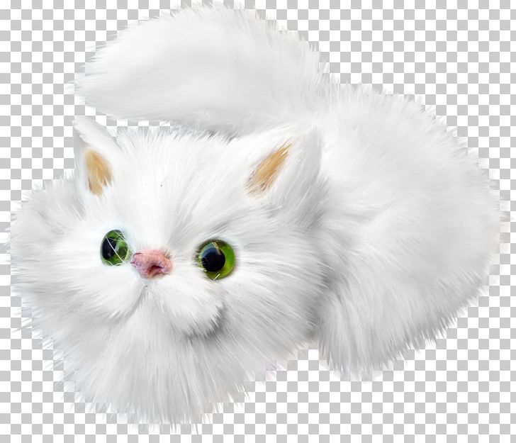 Cat Kitten White Drawing PNG, Clipart, Animals, Carnivoran, Cartoon Character, Cartoon Eyes, Cat Like Mammal Free PNG Download