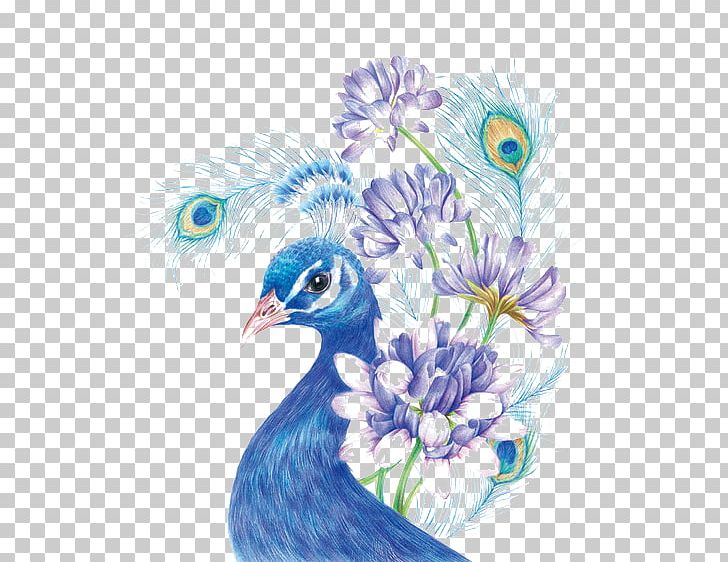 Drawing Colored Pencil Painting Sketch PNG, Clipart, Art, Asiatic Peafowl, Beak, Bird, Blue Free PNG Download