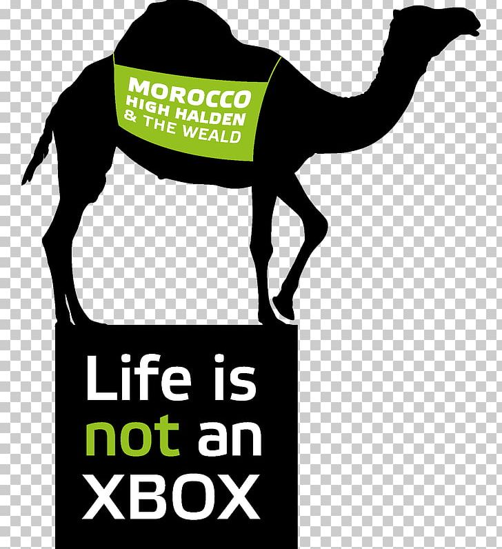 Roblox Dromedary Birthday Xbox One Party PNG, Clipart, Arabian Camel, Birthday, Brand, Camel, Camel Like Mammal Free PNG Download