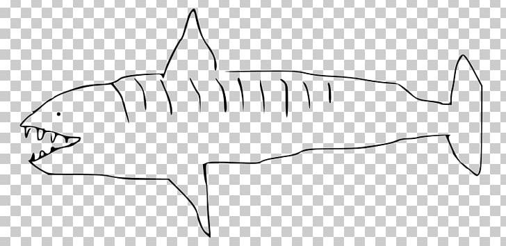 Tiger Shark Wikimedia Commons Wikimedia Foundation Drawing PNG, Clipart, Angle, Area, Artwork, Black And White, Cartilaginous Fish Free PNG Download