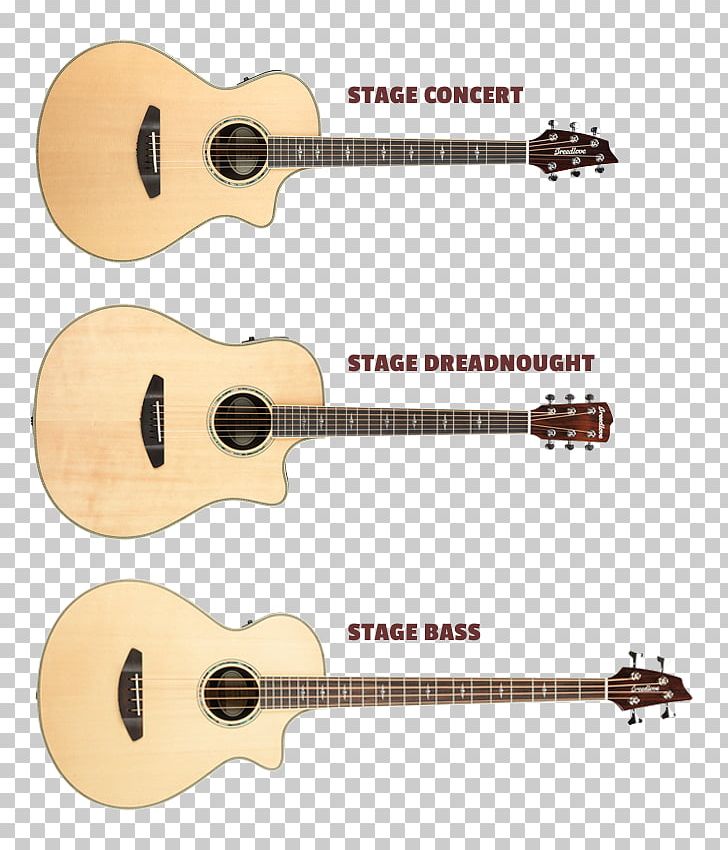 Bass Guitar Acoustic Guitar Tiple Acoustic-electric Guitar Cuatro PNG, Clipart, Acoustic Electric Guitar, Concert, Cuatro, Double Bass, Dreadnought Free PNG Download