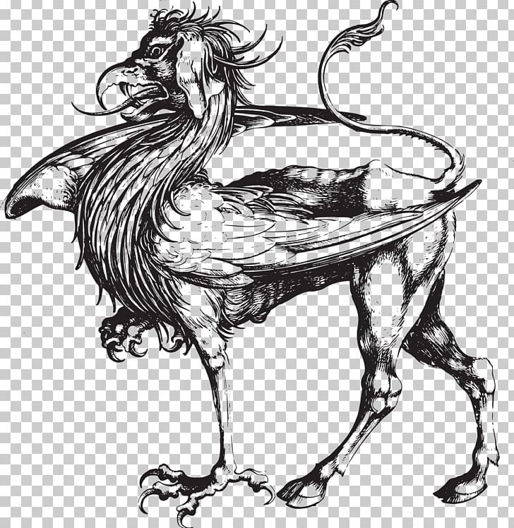 Griffin Dragon Drawing Legendary Creature PNG, Clipart, Art, Artwork, Beak, Bird, Black And White Free PNG Download