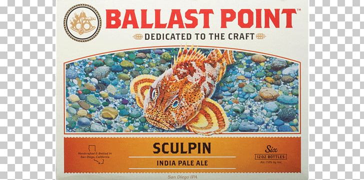 India Pale Ale Beer Ballast Point Brewing Company PNG, Clipart, Alcohol By Volume, Ale, Ballast Point Brewing Company, Beer, Bottle Free PNG Download