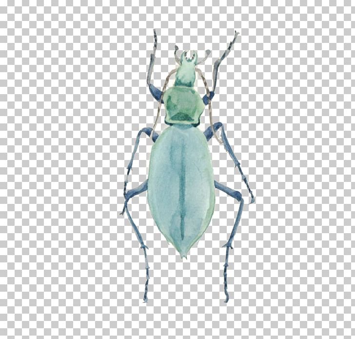 Insect Green PNG, Clipart, Animals, Arthropod, Background Green, Beetle, Download Free PNG Download