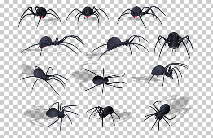 Spider Portable Network Graphics Adobe Photoshop PNG, Clipart, Animal, Ant, Arachnid, Arthropod, Dragonfly Free PNG Download