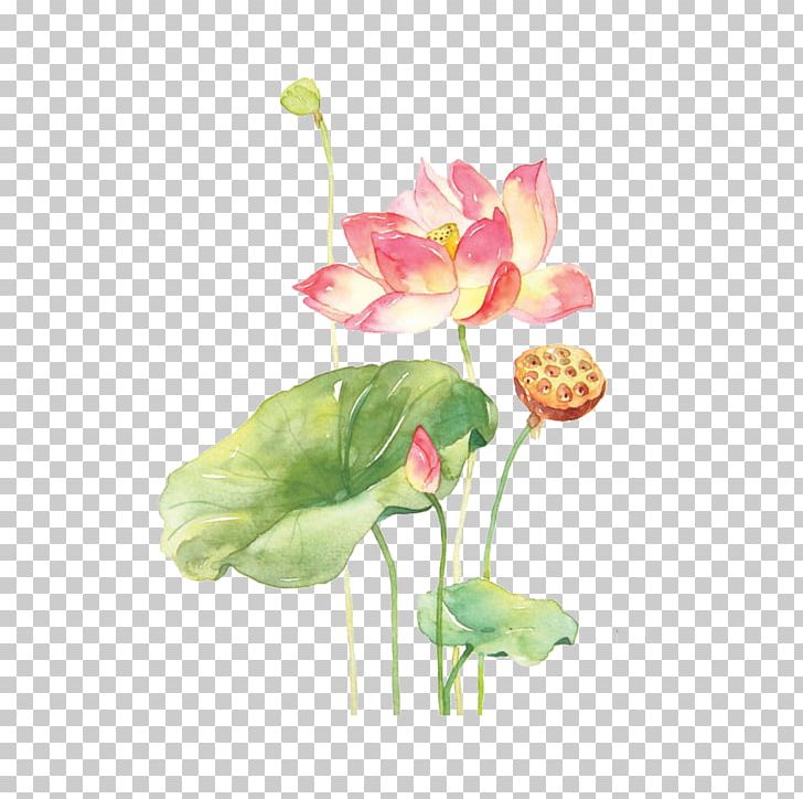 Watercolor Painting Drawing Art Cream PNG, Clipart, Artificial Flower, Eye, Flower, Flower Arranging, Hand Drawn Free PNG Download