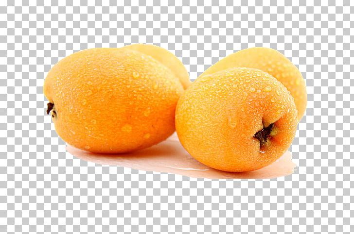 Clementine Loquat Fruit Food Mandarin Orange PNG, Clipart, Auglis, Bantning, Citrus, Clementine, Cucumber Free PNG Download