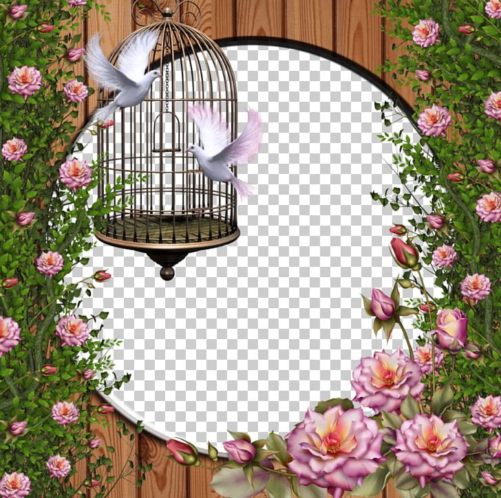 Flower Arranging Image File Formats Others PNG, Clipart, Bird Cage, Computer Icons, Desktop Wallpaper, Display Resolution, Download Free PNG Download
