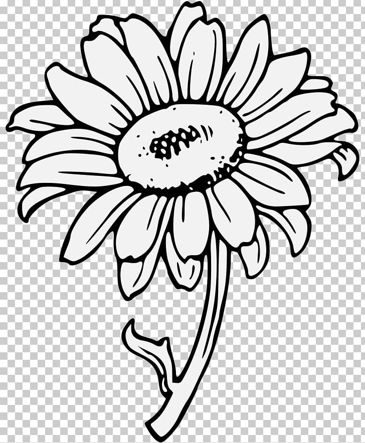 Common Sunflower PNG, Clipart, Black, Black And White, Blog, Common Sunflower, Cut Flowers Free PNG Download