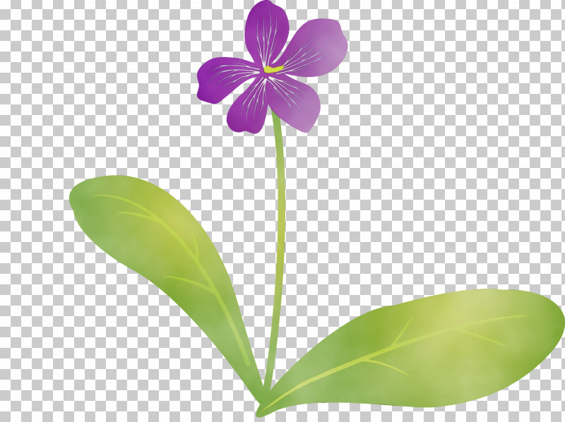 Plant Stem Flower Moth Orchids Petal Flora PNG, Clipart, Biology, Flora, Flower, Moth Orchids, Orchids Free PNG Download