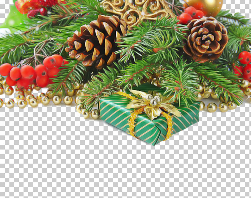 Christmas Decoration PNG, Clipart, Branch, Christmas Decoration, Christmas Ornament, Conifer, Fir Free PNG Download