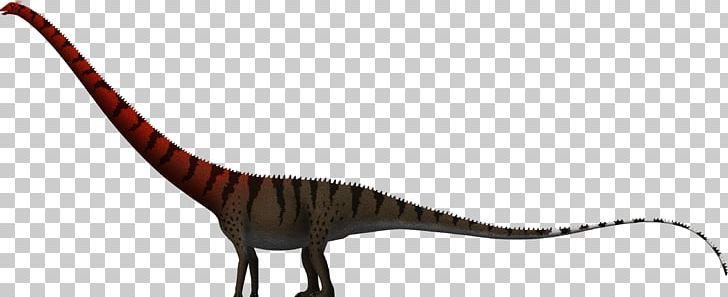 Barosaurus Dinheirosaurus Amphicoelias Supersaurus Dinosaur Size PNG, Clipart, Amniote, Amphicoelias, Amphicoelias Fragillimus, Animal Figure, Archosaur Free PNG Download