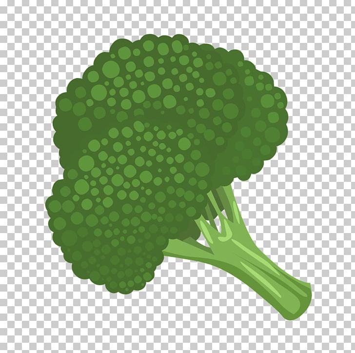 Broccoli Slaw Vegetable PNG, Clipart, Brassica Oleracea, Broccoli, Broccoli Slaw, Cauliflower, Computer Icons Free PNG Download