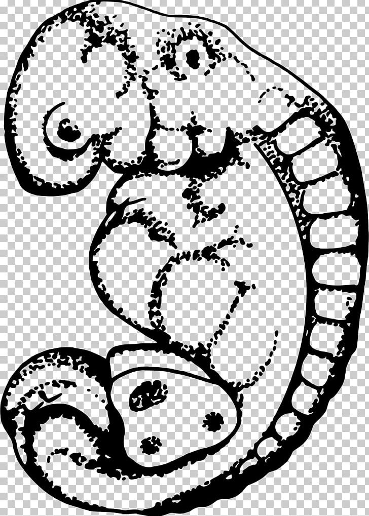 Embryo Drawing Embryo Drawing PNG, Clipart, Animal, Area, Art, Artwork, Black And White Free PNG Download